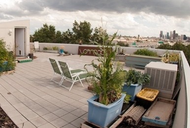 Rooftop garden view toward downtown